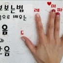 온음 이미지