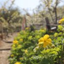 신내농장 이미지