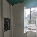 황실코아 이미지