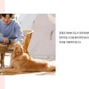 서원동물병원 이미지