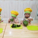 아삭톡톡 Daum카페