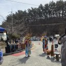 가좌1-05-041 | 충남 서천 여행 봄나들이 마량진항 동백꽃 주꾸미 축제 기본 정보 및 쭈꾸미 후기