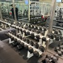 부평 프리웨이트 헬스 PT 이미지