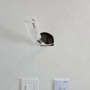 두산1차아파트 이미지