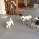 참견아카데미 이미지