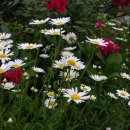 웃는아이소아청소년과의원 이미지