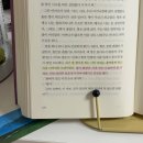 청산여관 | 잘가라 밤이여: 양귀자 희망 (그리고 요즘 독서근황)