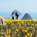 그랜드경희한의원 이미지