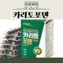 동국제약 카리토포텐 가격 후기 효능 부작용 복용법 전립선비대증
