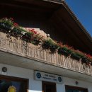 놈뇨미 | 8월 돌로미티 여행 뇨미투어 내돈내산 솔직 후기