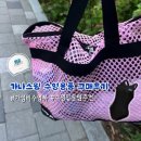 아레나수영복 - 청주시 청원구 1순환로 253 | [수영입문] 수린이 수영복 준비물 리스트! 가나스윔 아레나 수영복 사이즈 팁 & 내돈내산 후기