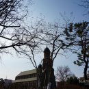 천주교성당 맞은편 이미지