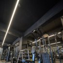 백프로짐 하대원점 이미지