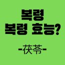 (재)한국천연색소산업화센터 | 복령의 5가지 핵심 효능과 부작용, 건강하게 먹는 법 총정리