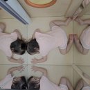 망우본동 복합청사(아이틔움공동육아방) | 중랑구 주차가능한 공동육아방 비교🤩 아이틔움vs아이사랑vs햇살아래vs망우자람