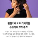 러쉬 수퍼 밀크 후기 : 달짝지근한 설탕 향기 (러쉬 세일 추천템)