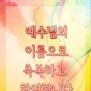 교2동-7 Daum카페