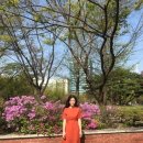 오브로더 이미지