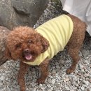 구례 쉼뜰 이미지