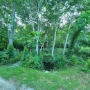 냇강쉼터 이미지