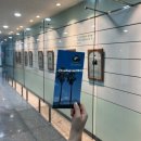 서귀포 청소년문화의전당 | 서귀포 실내 가볼만한곳 한국야구명예전당 관람 정보 및 여행 코스