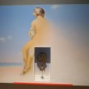 현대미술관 상설 전시 이미지