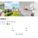 엘쯔 이미지