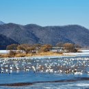 경안천 4 이미지