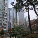 세보건영