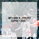 아이브브라이드