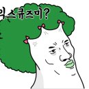 도배를미