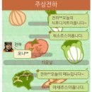 채소야채