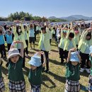 안의초등학교 이미지