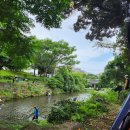 다목적광장 공중화장실 이미지