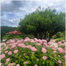 장계 | 대전 근교 카페 prairie(플라히에) 후기, 옥천 장계관광지 베이커리 카페