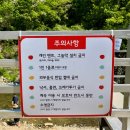 소이빈삼동 이미지