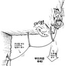 길이 상의 문제 Tech Tip - Sport - The matter at length. 이미지