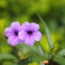 더 부동산 이미지