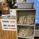 도봉구맛집 삼돌멸치쌈밥에서 멸치쌈밥정식 먹은 후기