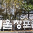 문화애견 이미지