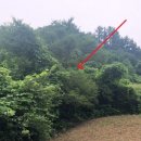 수산2리 다목적회관 이미지