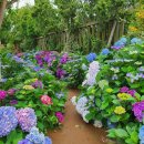 (주)정원팜 이미지