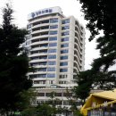 경희1번약국 이미지