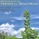 에버그린에버블루협동조합 이미지