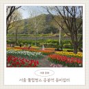 고온항 쉼터 공중화장실 | 서울튤립명소 응봉역 용비쉼터 한강데이트 인생사진 바로 여기!