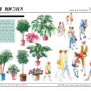 수원-0496 Daum카페