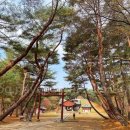 인창2로 | 경기도 구리 동구릉 건원릉 태조 억새 절정기 능침 특별 개방 선착순 예매 조선왕릉 유네스코 국가문화...