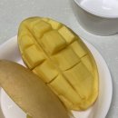 De, Week4 면접3탄!카페에임, 카페요유, 원언아더, 창덕궁 벚꽃, 창경궁, 쇼핑, 서울정착이란?