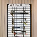 피켈 이미지