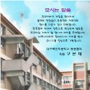 옥산초등 이미지